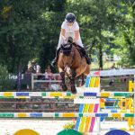 Some Basic Facts About Horse Show Jumps